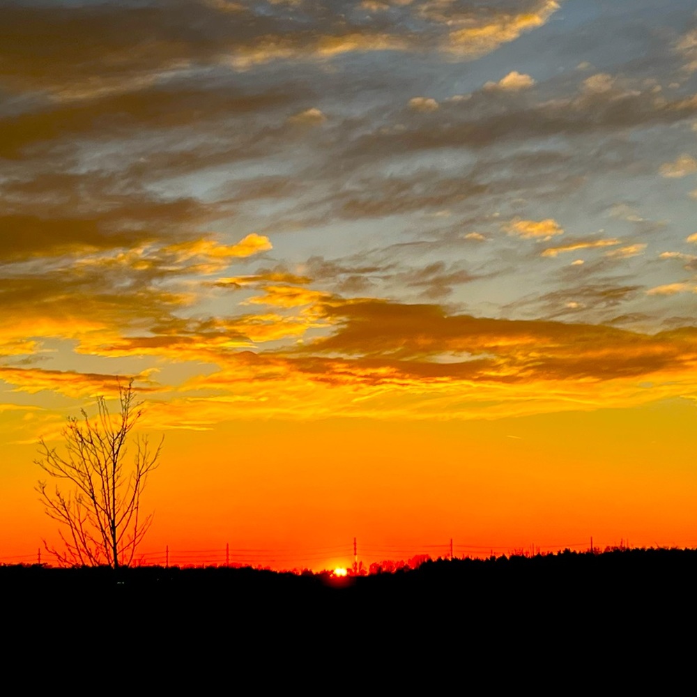 Meet your Posher, RRR